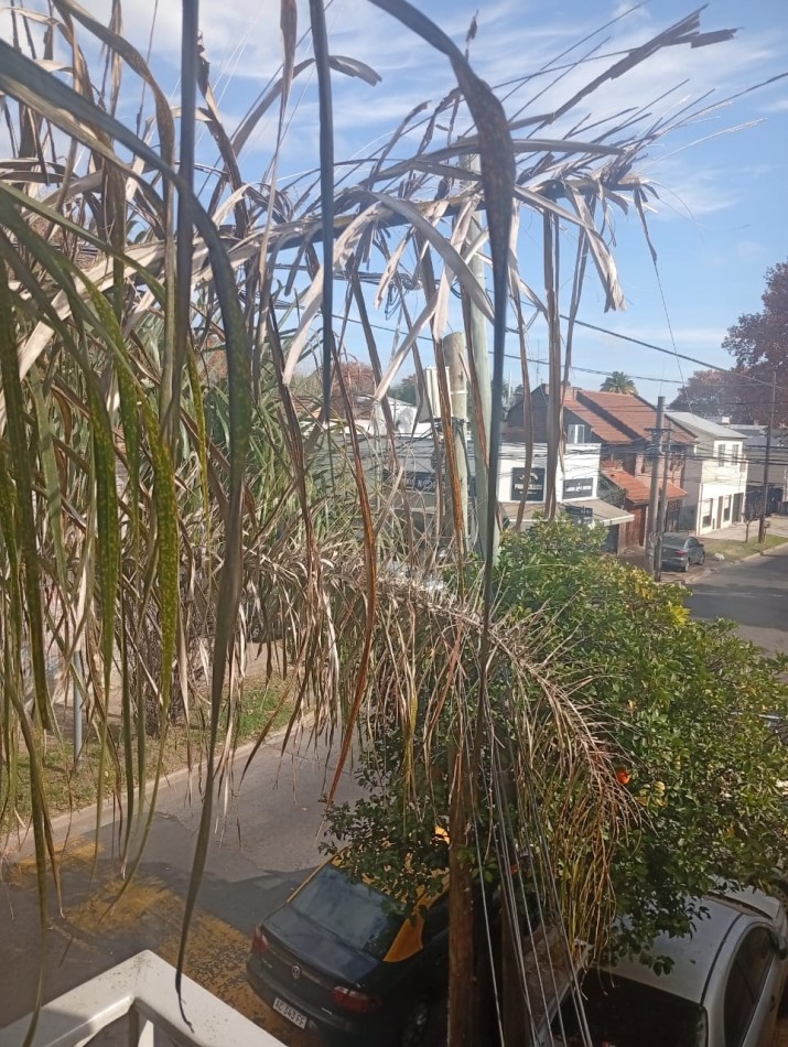 PH de 3 ambientes en Alquiler en Villa Ballester 